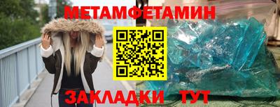 мяу мяу мука Гатчина