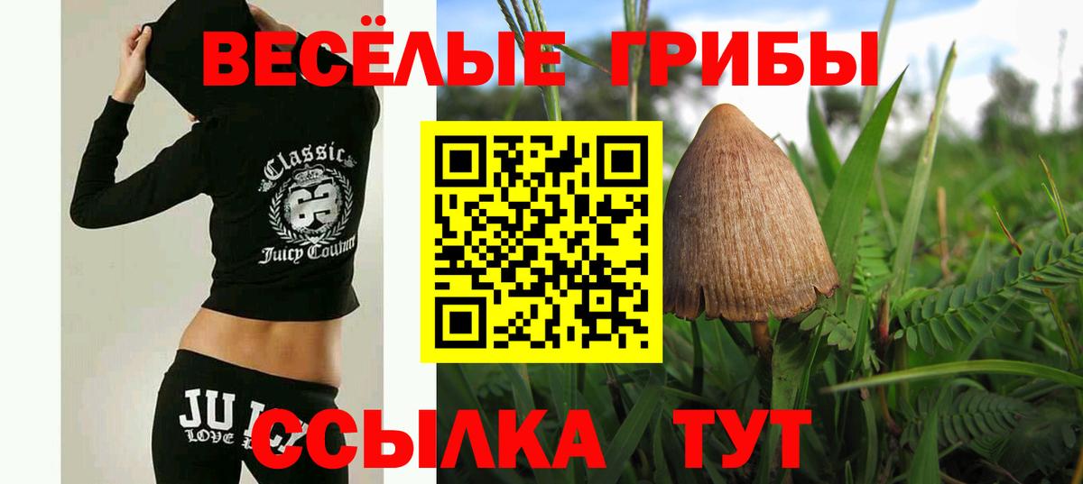 Галлюциногенные грибы прущие грибы  Вход с VPN  Нижнеудинск 