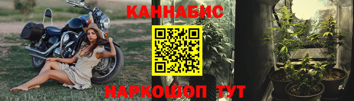 Нижнеудинск  МАРИХУАНА сатива  Конопля White Widow  Вход с VPN  Каннабис VHQ  Марихуана OG Kush 